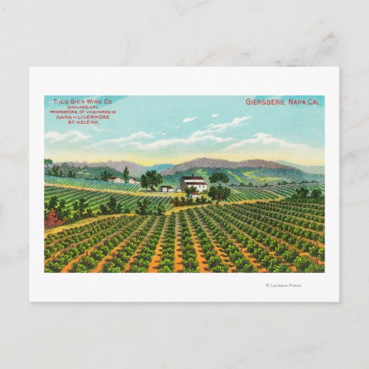 Carte Postale Vue du vignoble GiersbergNapa, CA (Devant)