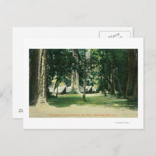 Carte Postale Vue d'un camp dans les séquoias (Devant / Derrière)