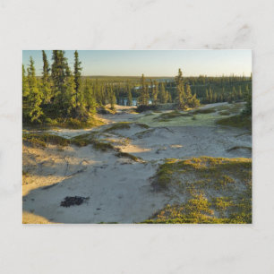 Carte Postale Vue d'un lac et des collines de sable environnante