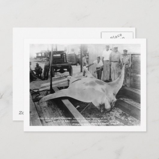 Carte Postale Vue d'un Manray pris (Devant / Derrière)