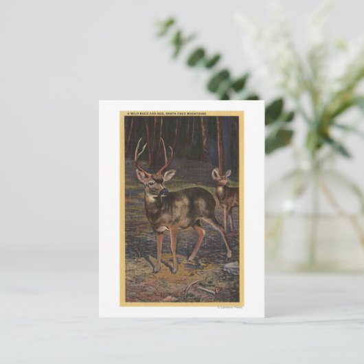 Carte Postale Vue d'un oiseau sauvage (Debout devant)