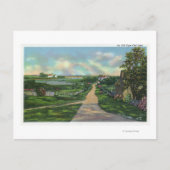 Carte Postale Vue d'une ancienne voie de Cape Cod (Devant)