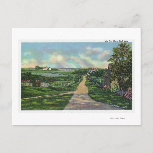Carte Postale Vue d'une ancienne voie de Cape Cod (Devant)