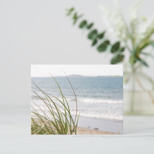 carte postale vue dune sable (Debout devant)