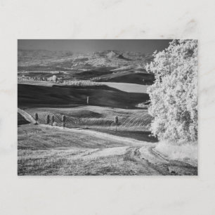 Carte Postale Vue en noir et blanc d'une route sinueuse