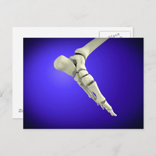 Carte Postale Vue En Rayon X Du Pied Humain 2 (Devant / Derrière)