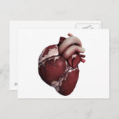 Carte Postale Vue En Trois Dimensions Du Coeur Humain, Avant (Devant / Derrière)