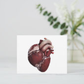 Carte Postale Vue En Trois Dimensions Du Coeur Humain, Avant (Debout devant)