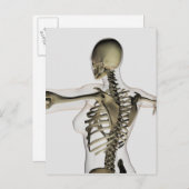 Carte Postale Vue En Trois Dimensions Du Dos Supérieur Féminin (Devant / Derrière)