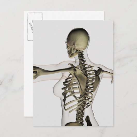 Carte Postale Vue En Trois Dimensions Du Dos Supérieur Féminin (Devant / Derrière)