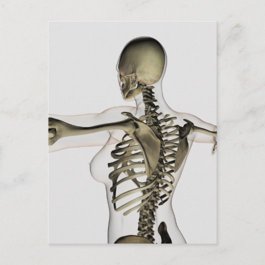 Carte Postale Vue En Trois Dimensions Du Dos Supérieur Féminin (Devant)