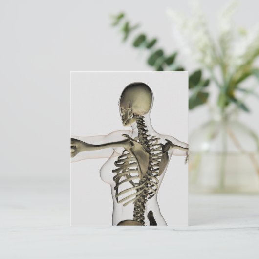 Carte Postale Vue En Trois Dimensions Du Dos Supérieur Féminin (Debout devant)