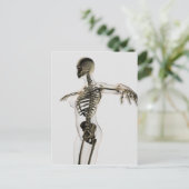 Carte Postale Vue En Trois Dimensions Du Système Squelettique Fé (Debout devant)