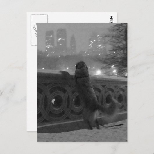 Carte Postale Vue enneigée depuis Bow Bridge-Carte postale de Ce (Devant / Derrière)