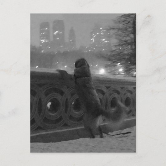 Carte Postale Vue enneigée depuis Bow Bridge-Carte postale de Ce (Devant)