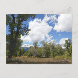Carte Postale Vue ensoleillée sur la montagne de Grand Teton