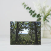 Carte Postale Vue estivale du parc national de l'Acadie (Debout devant)