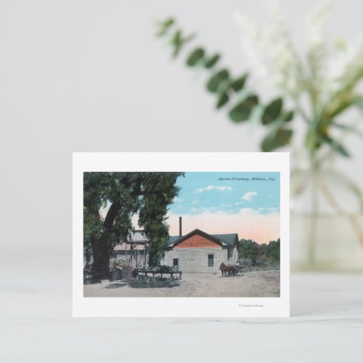 Carte Postale Vue extérieure de Jacinto CreameryWillows, CA (Debout devant)
