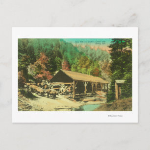 Carte Postale Vue extérieure de la scierie sur le ruisseau Bodfi