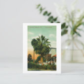 Carte Postale Vue extérieure de l'hôtel au Palm (Debout devant)