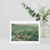 Carte Postale Vue extérieure des sources thermales et jardins de (Debout devant)