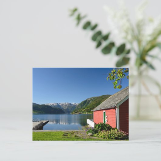 Carte postale vue fjord norvégien (Debout devant)