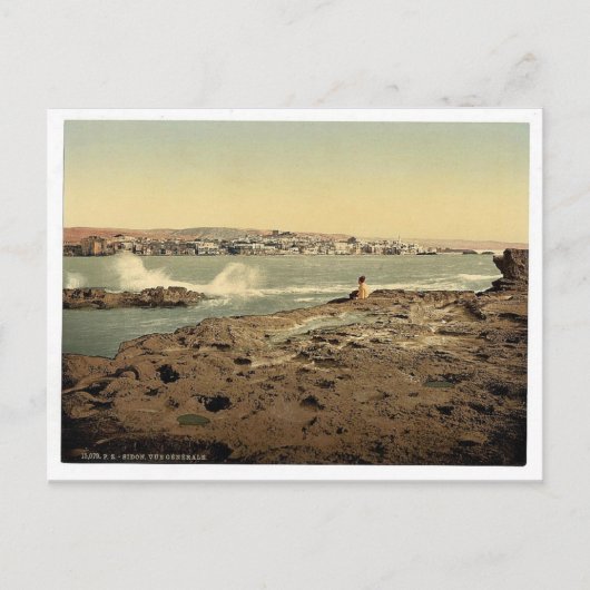 Carte Postale Vue générale, Sidon, Terre Sainte, (c.-à-d. Liban) (Devant)