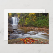 Carte Postale Vue Glass Falls Pisgah Forêt nationale (Devant / Derrière)
