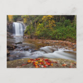 Carte Postale Vue Glass Falls Pisgah Forêt nationale (Devant)