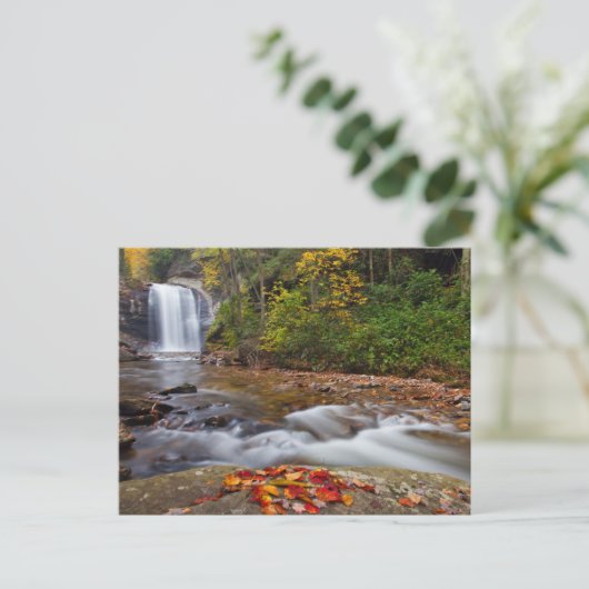 Carte Postale Vue Glass Falls Pisgah Forêt nationale (Debout devant)
