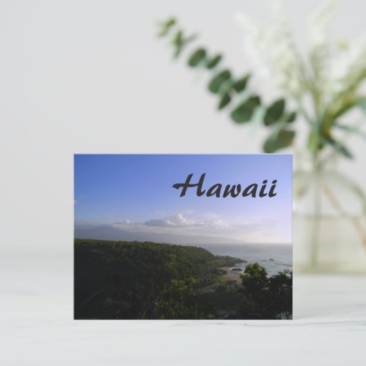 Carte Postale Vue Hawaii (Debout devant)