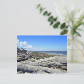 Carte Postale Vue Jekyll (Debout devant)