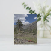 Carte Postale vue le long du sentier de la mine sutton (Debout devant)