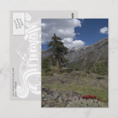 Carte Postale vue le long du sentier de la mine sutton (Devant / Derrière)