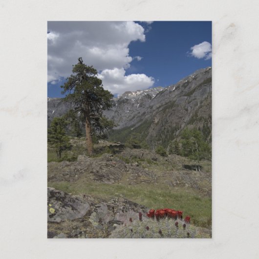 Carte Postale vue le long du sentier de la mine sutton (Devant)