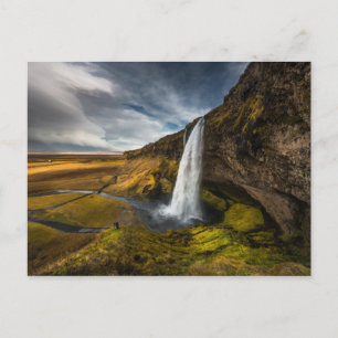 Carte Postale Vue magnifique du paysage de Seljalandsfoss