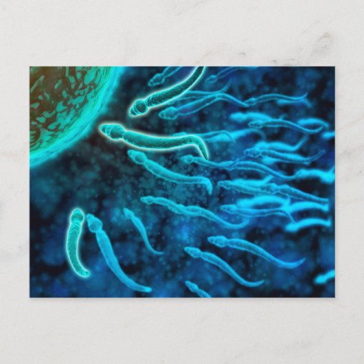 Carte Postale Vue Microscopique De La Nage De Sperme Vers L'Oeuf (Devant)
