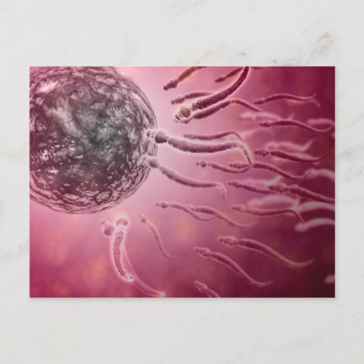 Carte Postale Vue Microscopique De La Nage De Sperme Vers L'Oeuf (Devant)