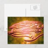 Carte Postale Vue Microscopique De Legionella Pneumophila 2 (Devant / Derrière)