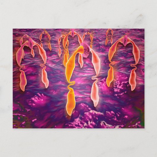 Carte Postale Vue Microscopique De Ligand Reliant À Un Récepteur (Devant)