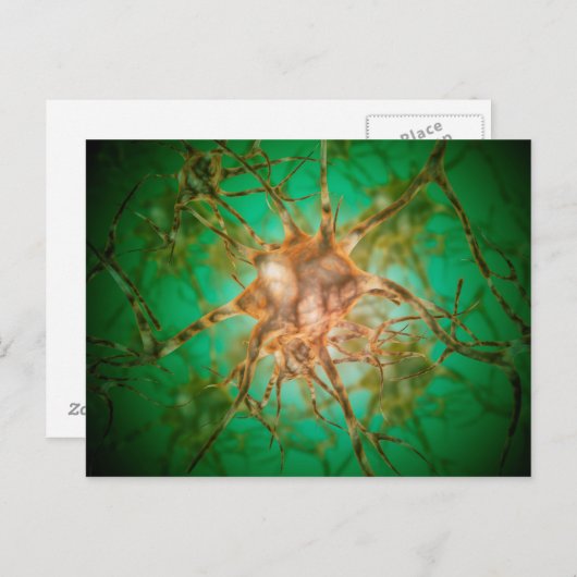 Carte Postale Vue Microscopique De Plusieurs Cellules Nerveuses  (Devant / Derrière)