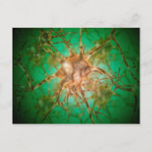 Carte Postale Vue Microscopique De Plusieurs Cellules Nerveuses  (Devant)
