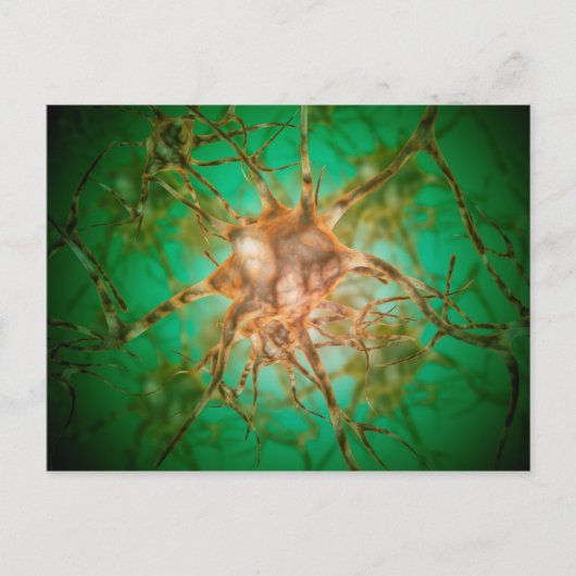 Carte Postale Vue Microscopique De Plusieurs Cellules Nerveuses  (Devant)