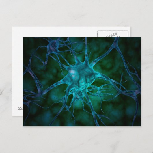Carte Postale Vue Microscopique De Plusieurs Cellules Nerveuses  (Devant / Derrière)