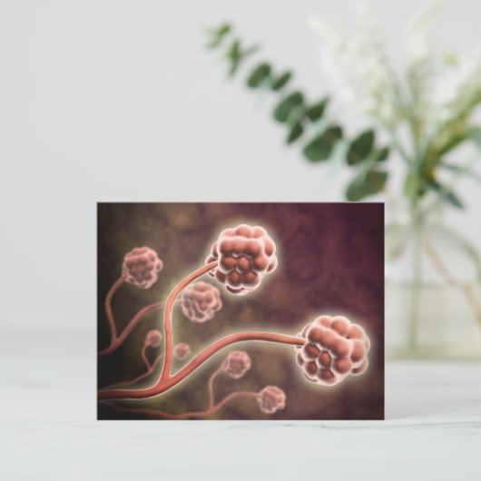 Carte Postale Vue Microscopique De Stachybotrys Chartarum (Debout devant)