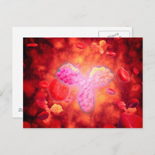 Carte Postale Vue Microscopique Des Anitcorps Humains (Devant / Derrière)