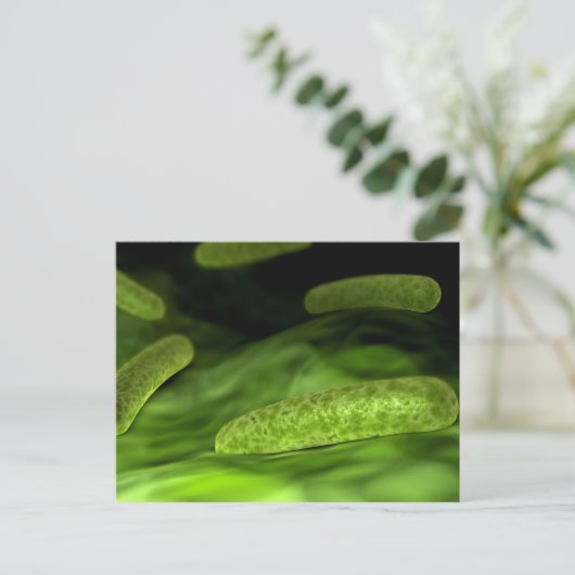 Carte Postale Vue Microscopique Des Bactéries 1 (Debout devant)
