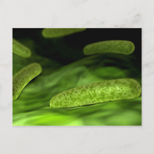 Carte Postale Vue Microscopique Des Bactéries 1