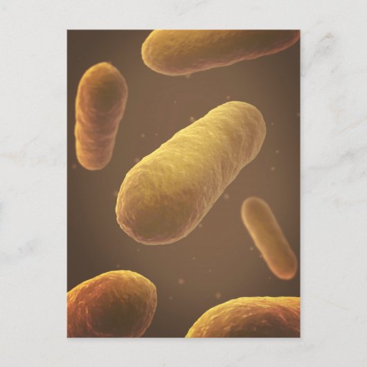 Carte Postale Vue Microscopique Des Bactéries 5 (Devant)