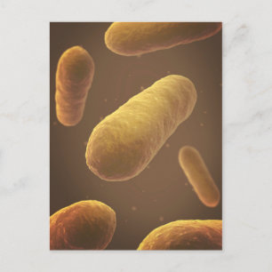 Carte Postale Vue Microscopique Des Bactéries 5